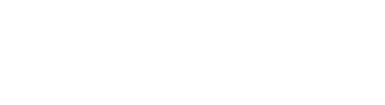 Logo Feisa Footer