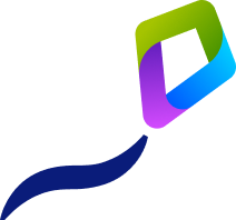 logo feisa img